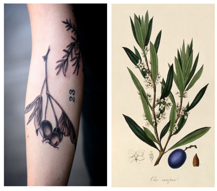tattoo botanical draw